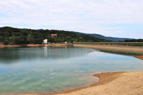 夏はひまわり畑！南砺市桜ヶ池クアガーデンをご紹介します！ 