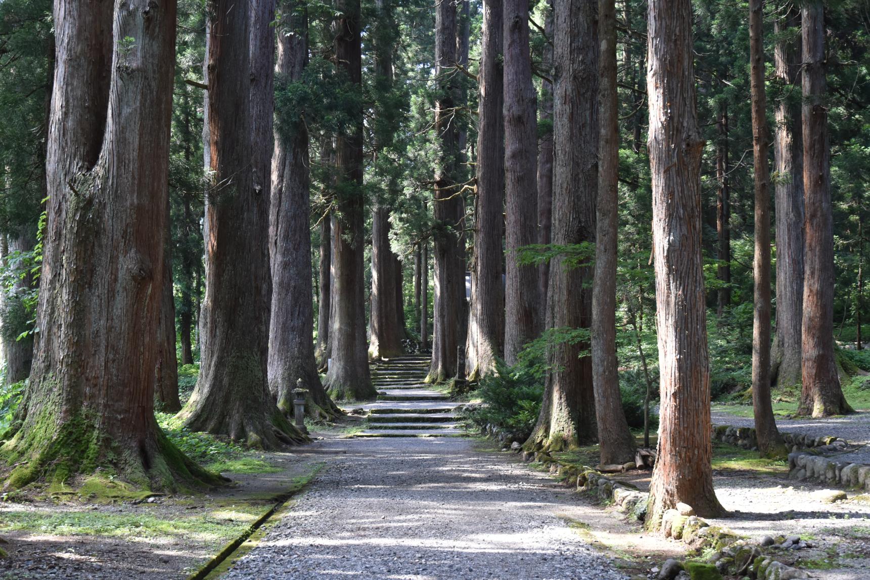 芦峅寺のパワースポット「雄山神社芦峅中宮祈願殿」-0