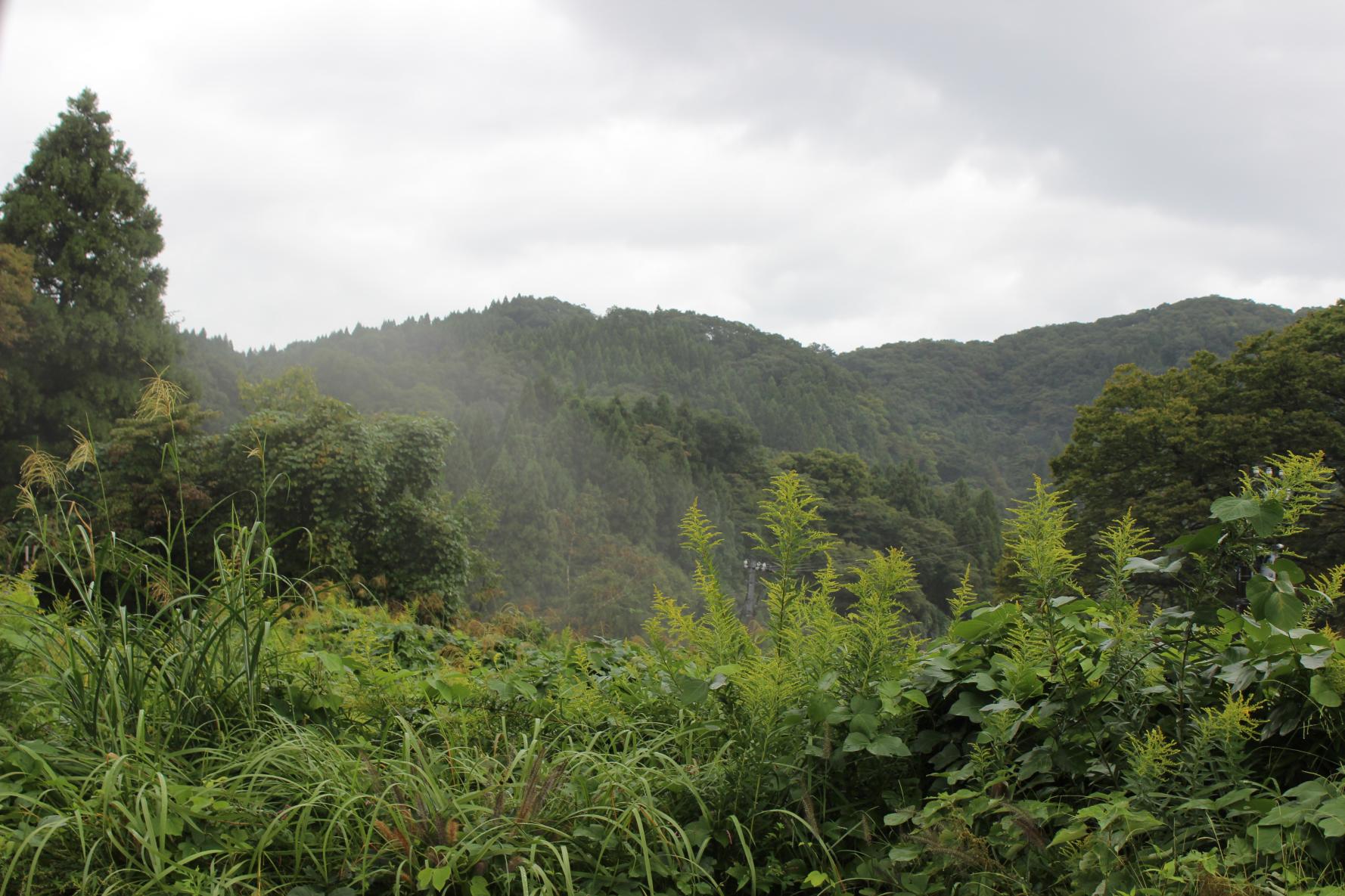 知る人ぞ知る秘境「北山鉱泉」にあります-1