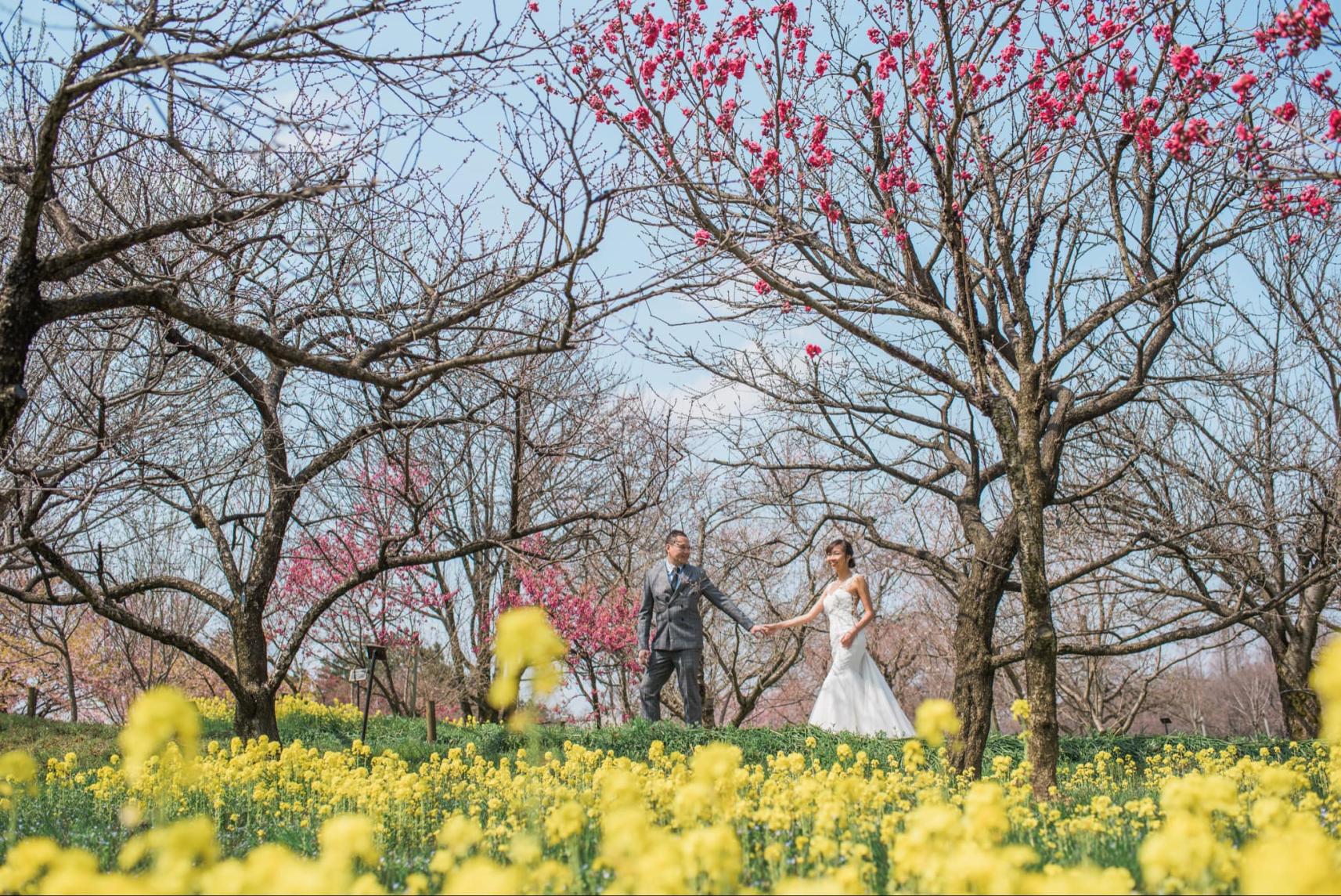 ２．富山県中央植物園（富山市）-1