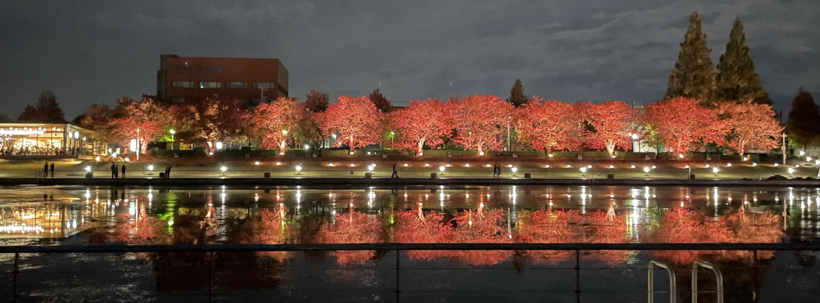 富岩運河環水公園で夜散歩-1