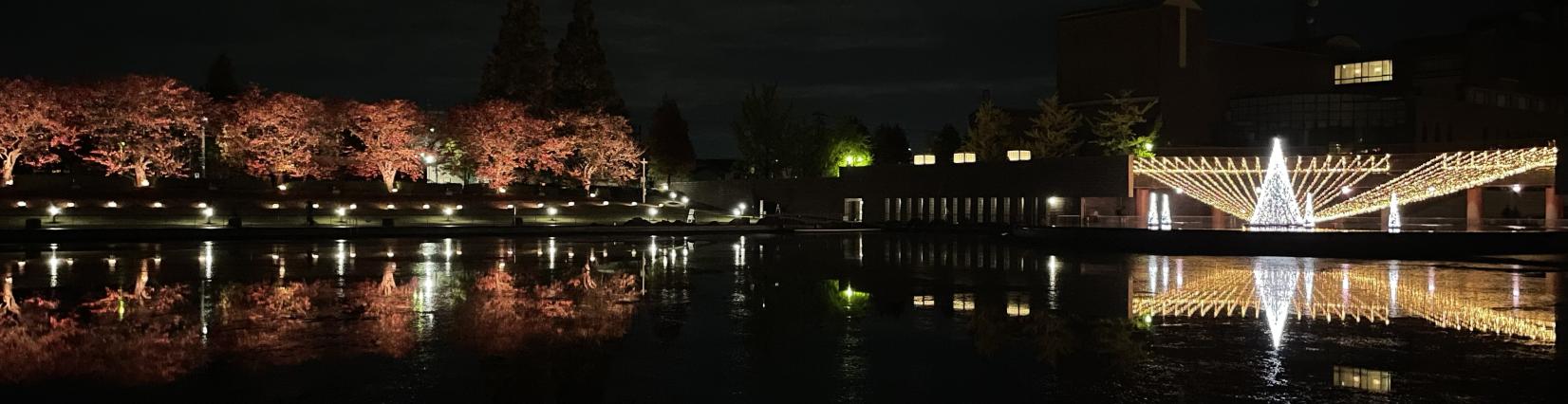 富岩運河環水公園で夜散歩-2