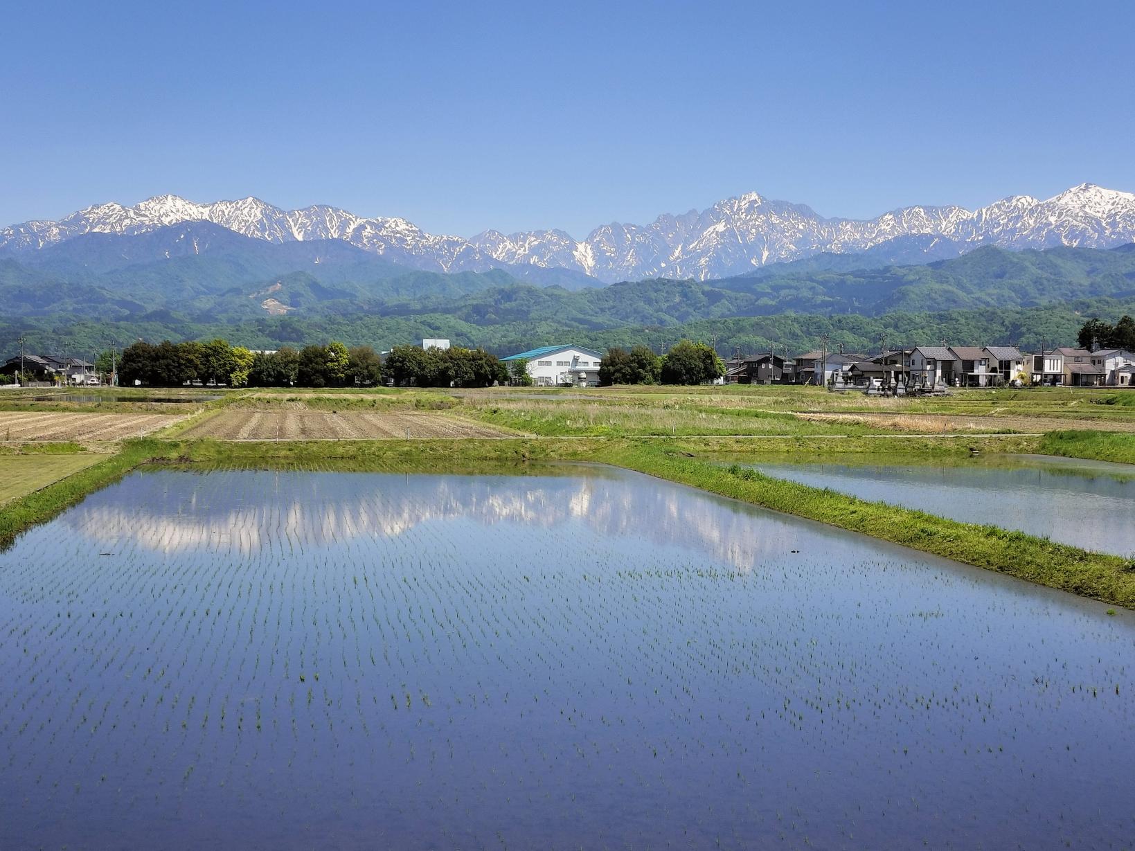 【満喫！立山町ドライブ】立山観光やグルメを堪能-1