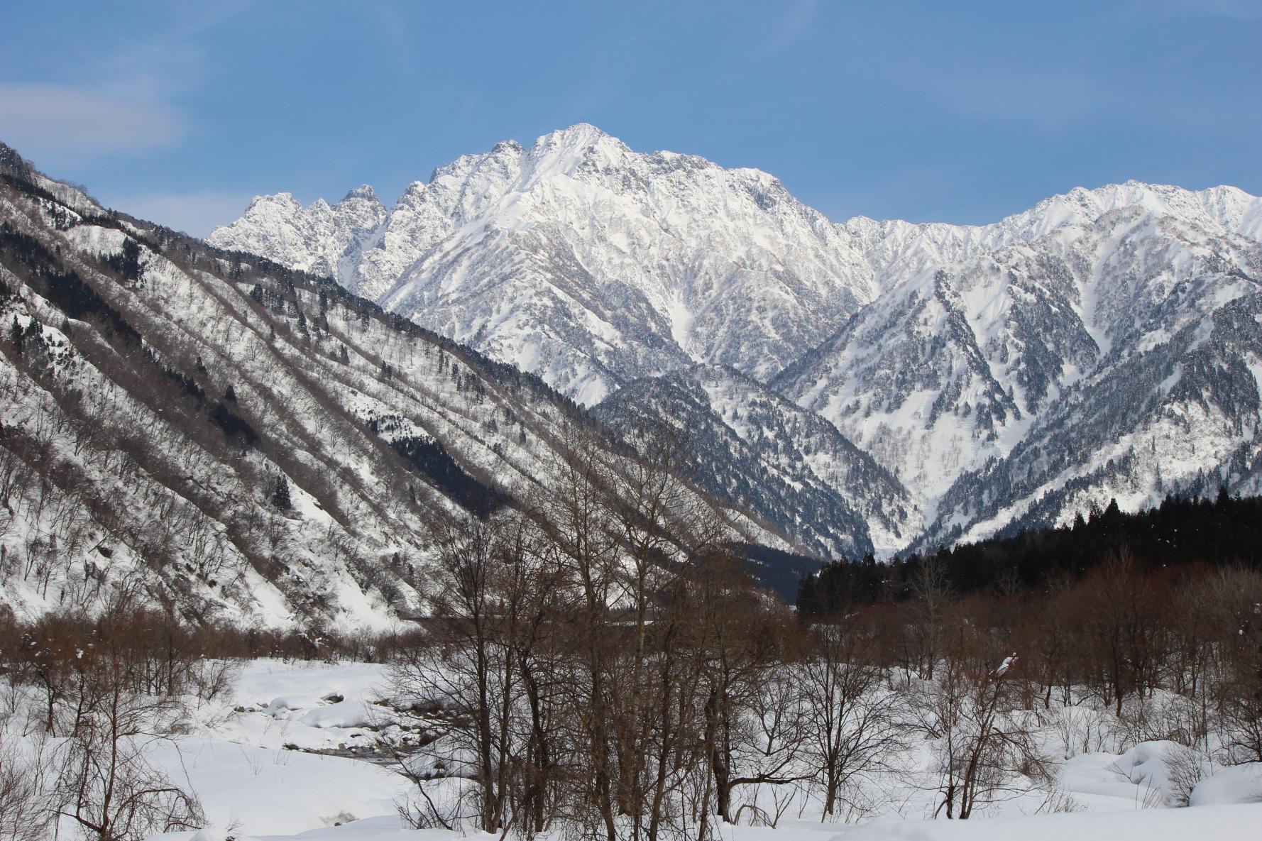 立山連峰を望む穴場絶景スポット4選【伊折橋・薬用植物指導センター・牛岳パノラマ展望台・富山市塩の千本桜】