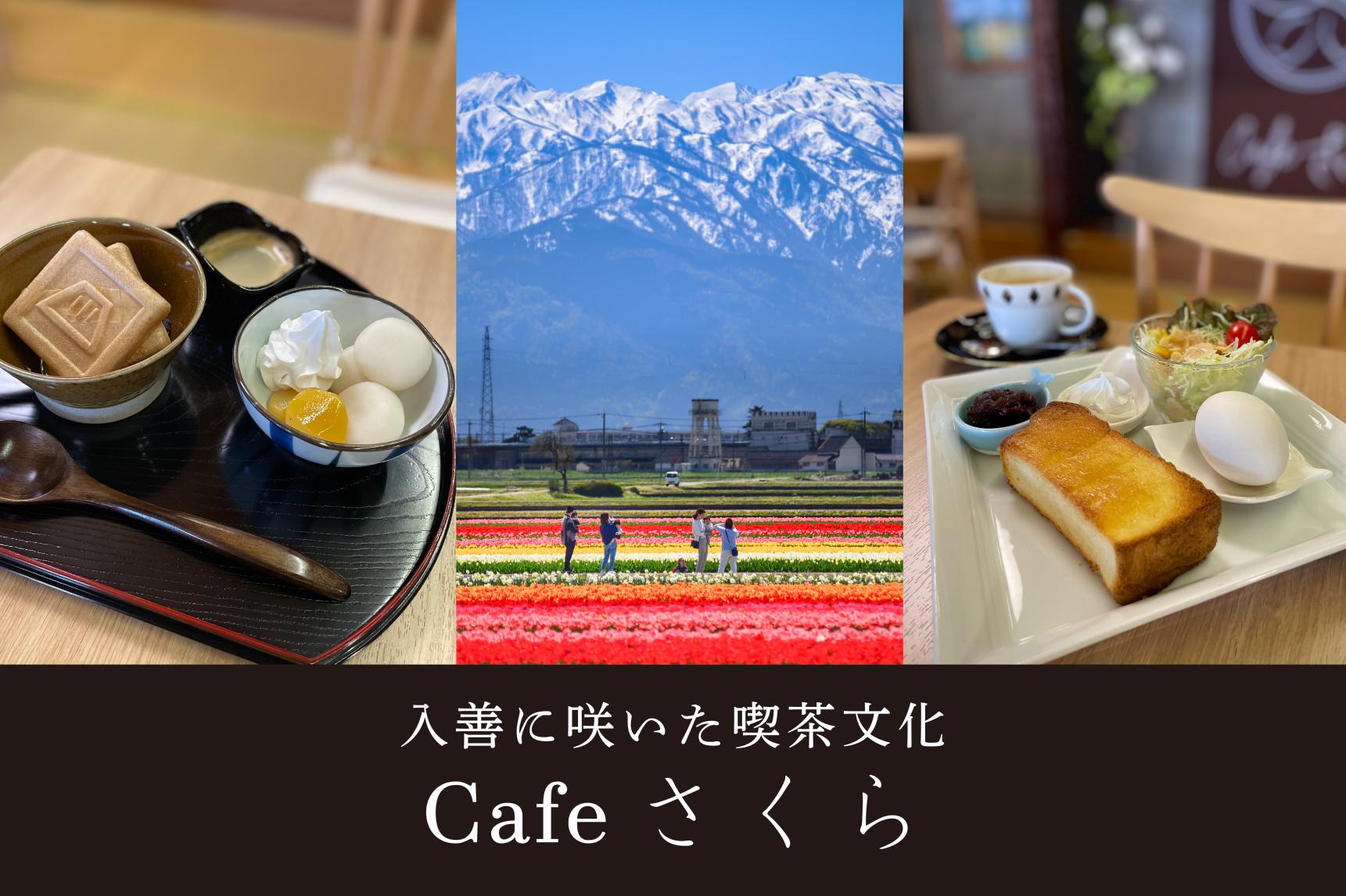 新店「Cafeさくら」とチューリップの祭典「にゅうぜんフラワーロード2025」をご紹介【入善町】