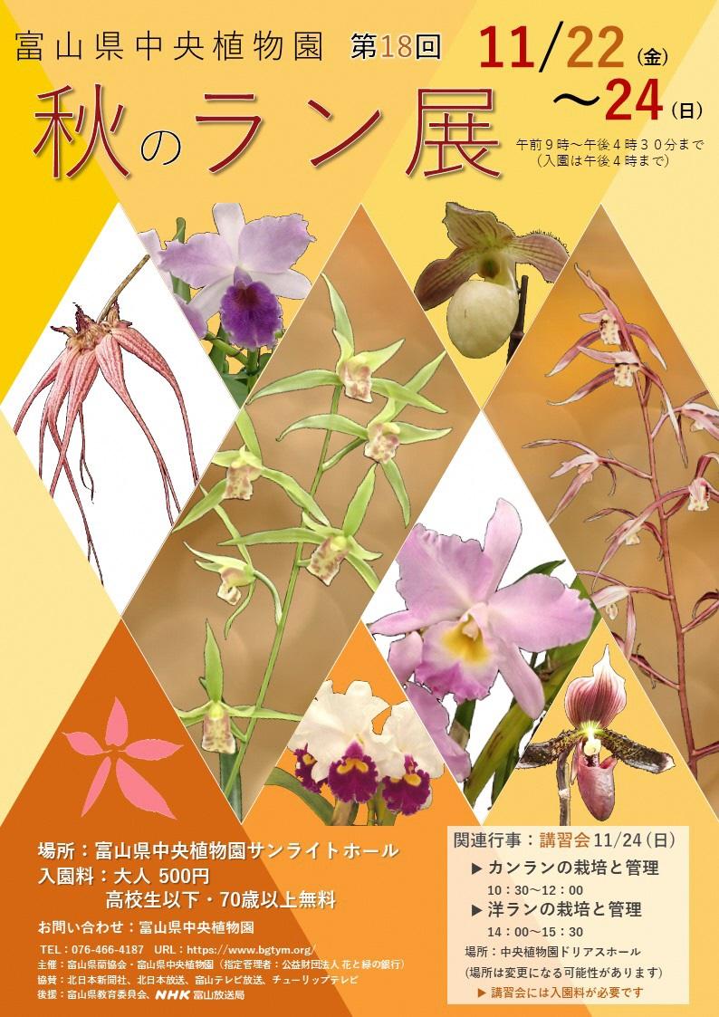 【富山県中央植物園】第18回秋のラン展-1