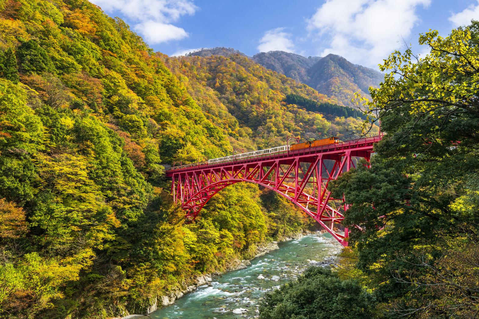 黒部峡谷トロッコ電車