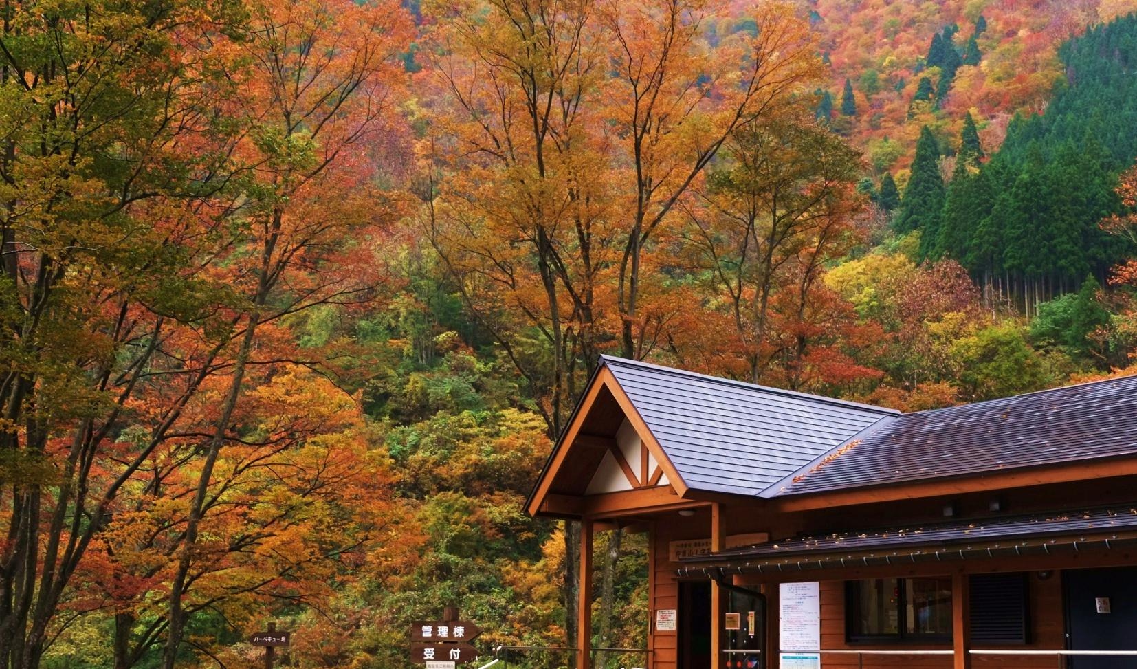 片貝山ノ守キャンプ場