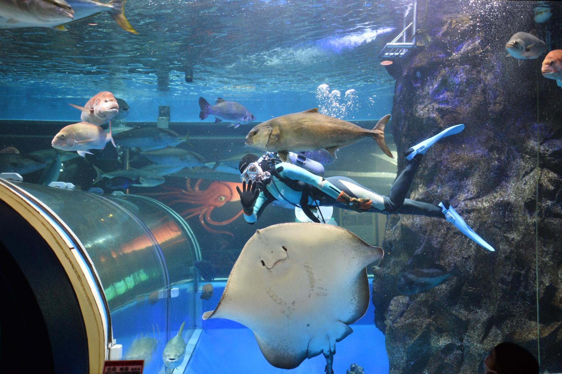 Uozu Aquarium: the longest-operating aquarium in Japan-0