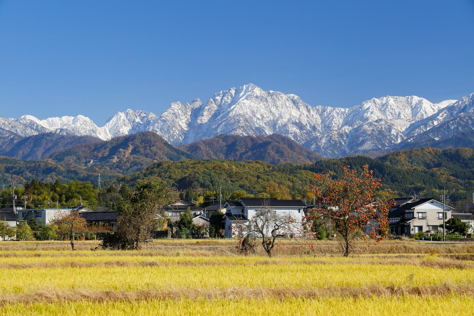 北アルプスと富山湾に囲まれた自然豊かな場所-1