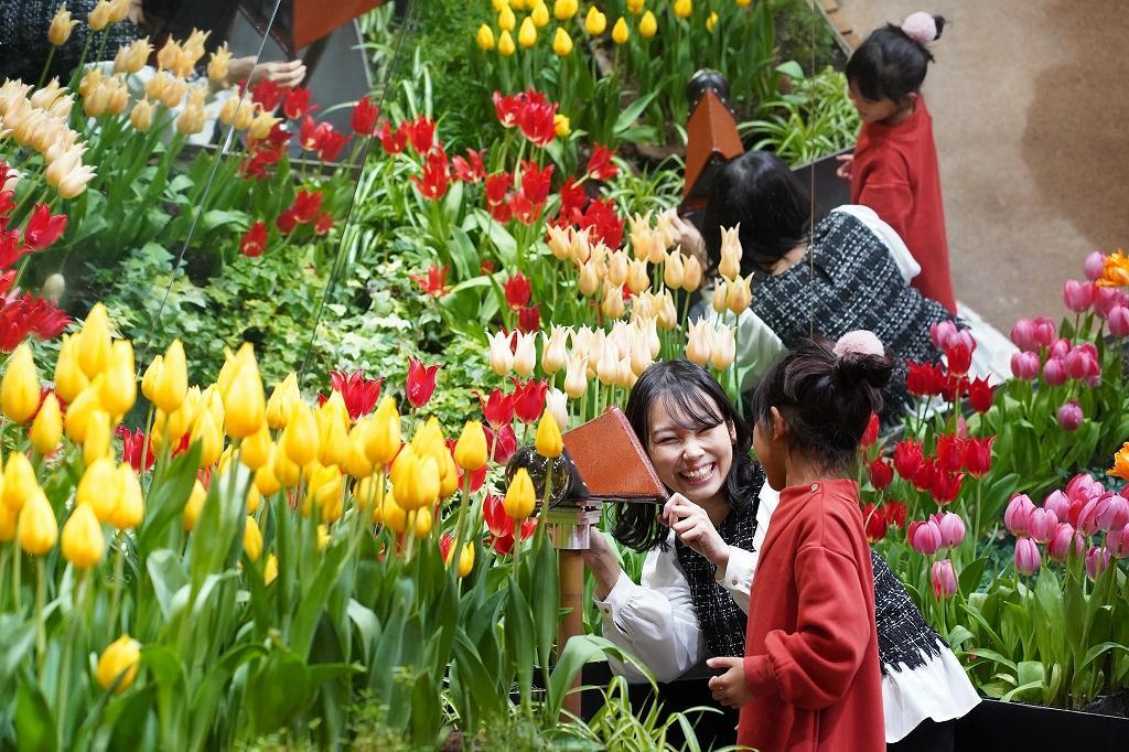 魅力②　如萬花筒般映照出萬千風情的「調色盤花園」-1