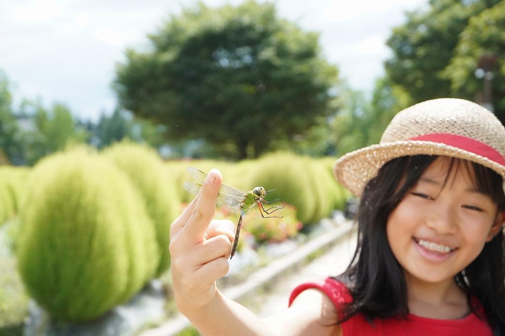 魅力⑧　夏、秋特有美景！波波草大花壇！-5