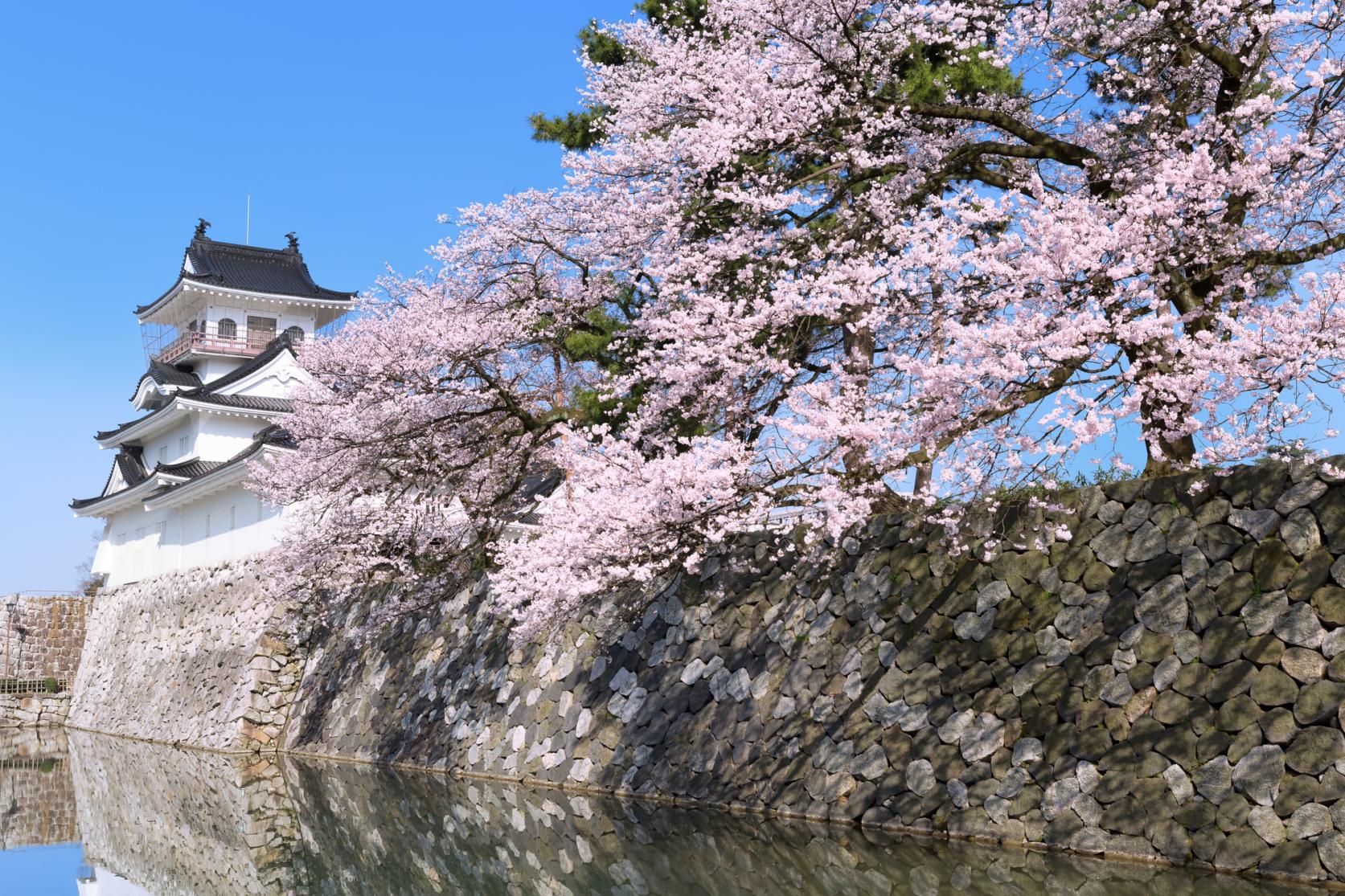 Toyama Castle and Toyama City Local History Museum-2