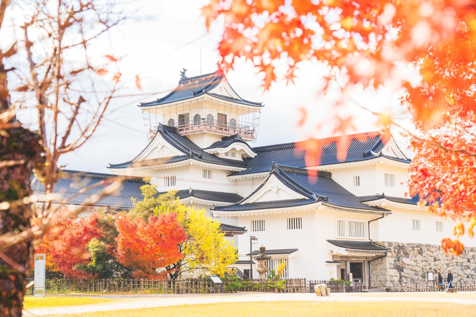 Toyama Castle and Toyama City Local History Museum-0