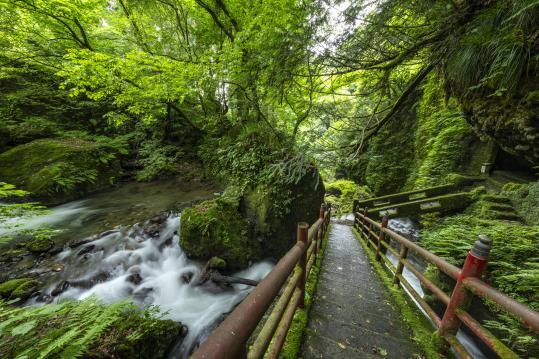 心と体を癒す1日旅-1