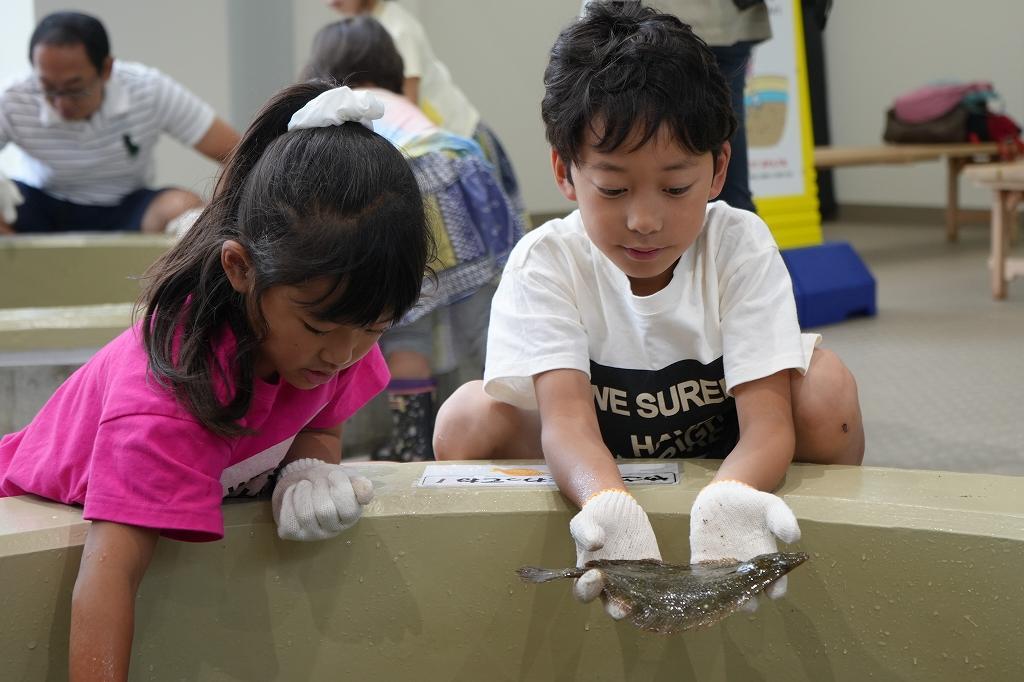 自然・文化・生き物に触れる 親子で周る氷見の旅-1