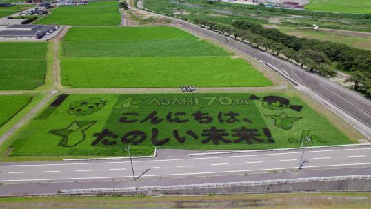 舟川べり田んぼアート-0