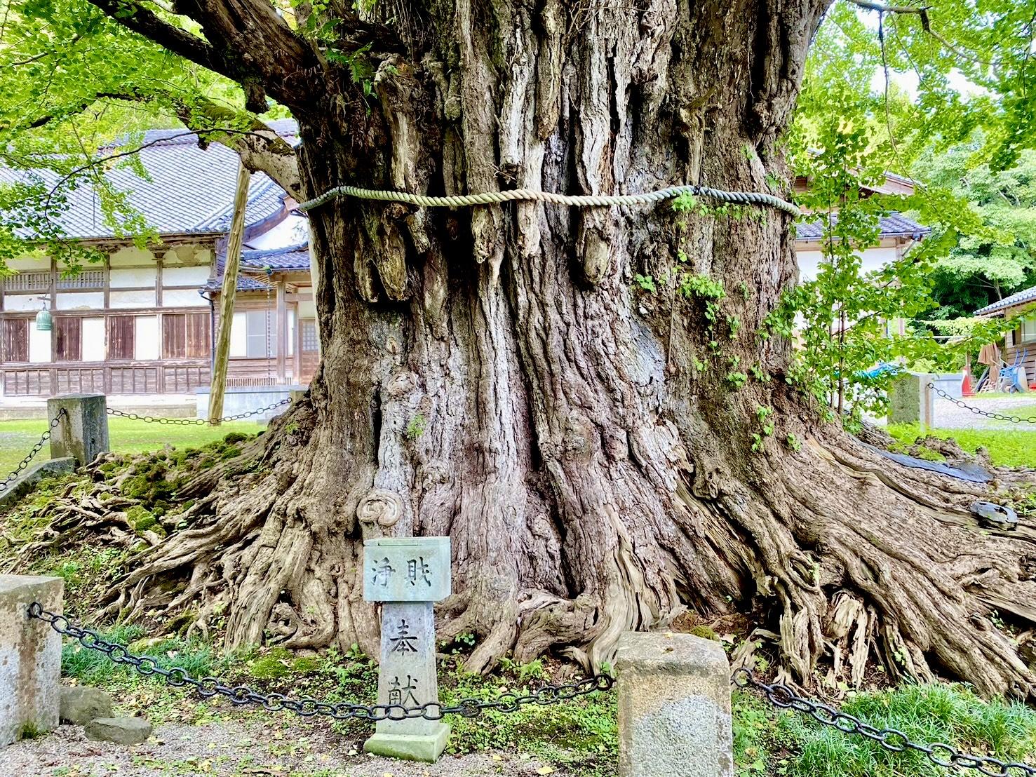 氷見のひみつ発見ロゲイニング ～めぐる×つながる→ウェルビーイング～-3