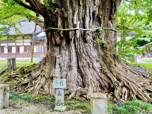 氷見のひみつ発見ロゲイニング ～めぐる×つながる→ウェルビーイング～-3