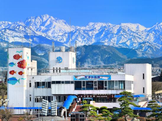 魚津水族館クラウドファンディング-1