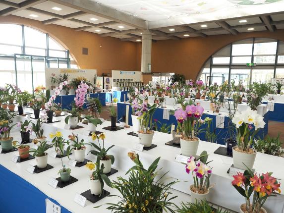 富山県中央植物園-4