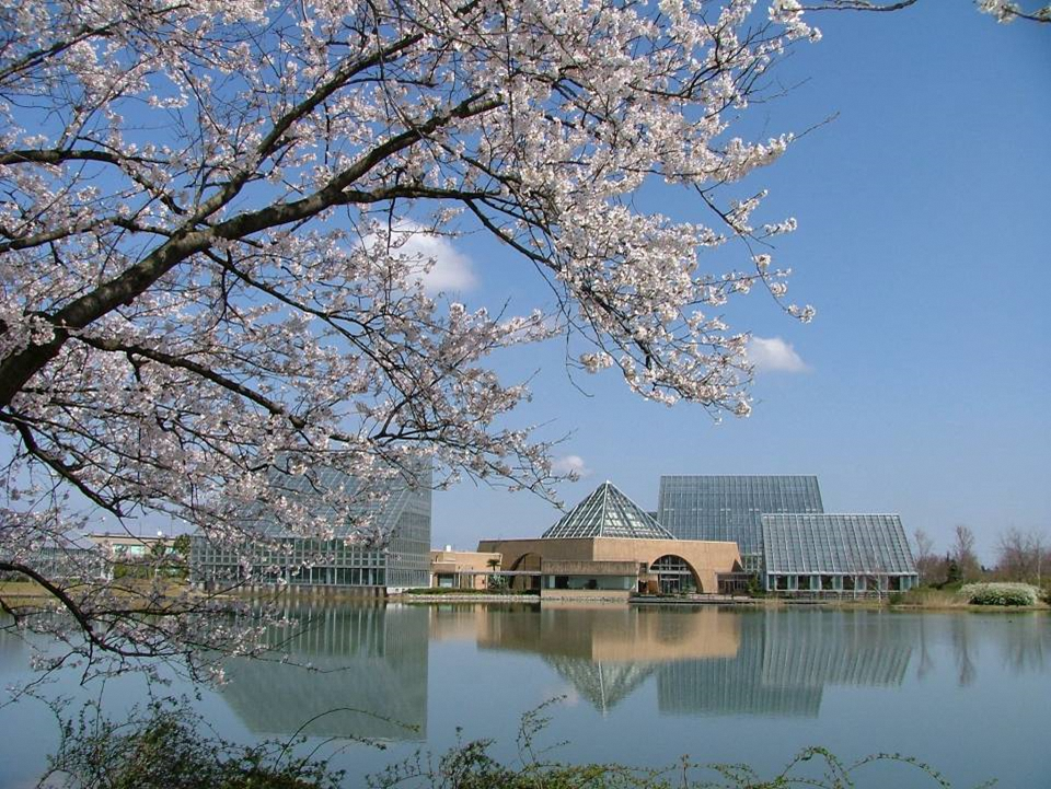 中央植物園の春