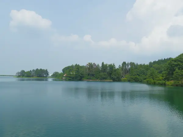 桜ヶ池の写真(富山県南砺市)