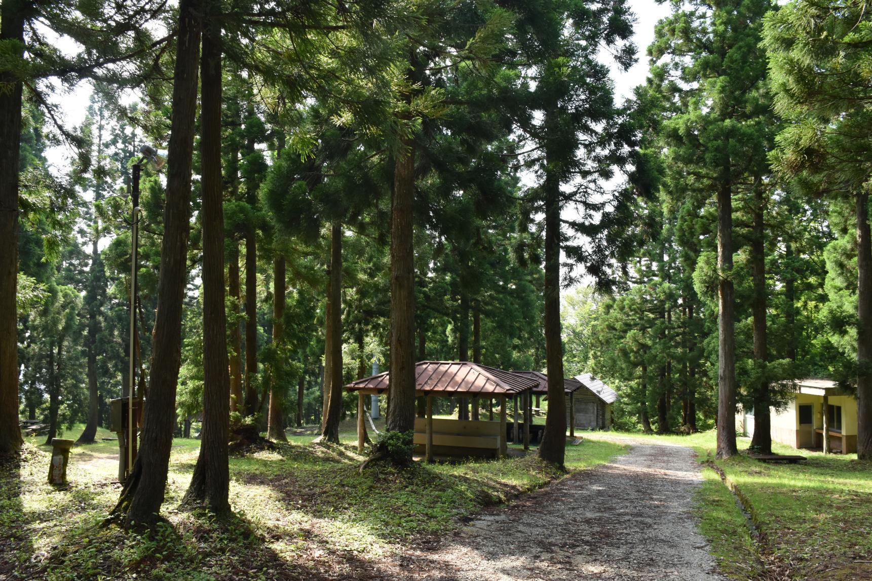 嘉例沢森林公園キャンプ場-1