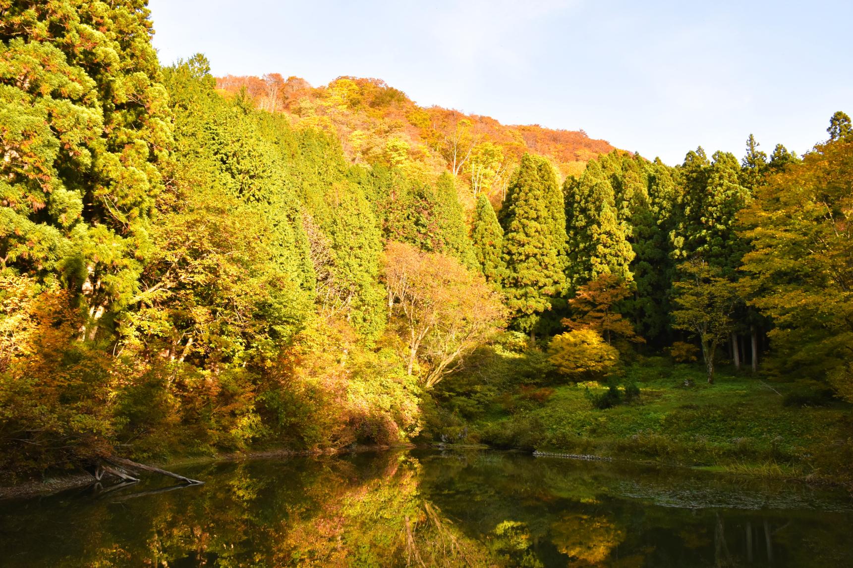 嘉例沢森林公園キャンプ場-3