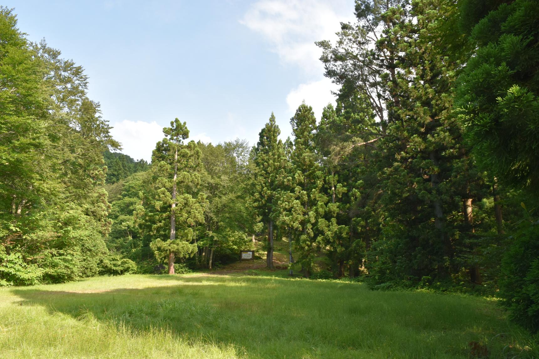 嘉例沢森林公園キャンプ場-2