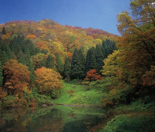 嘉例沢森林公園キャンプ場-0